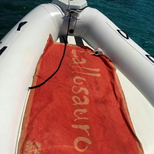Lallosauro Pimp My Towel Personalized microfiber towel. Lallosauro boat