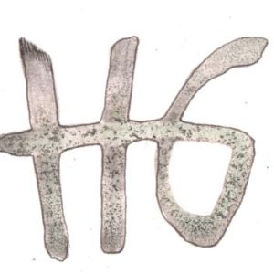 logo_HG logo_HG